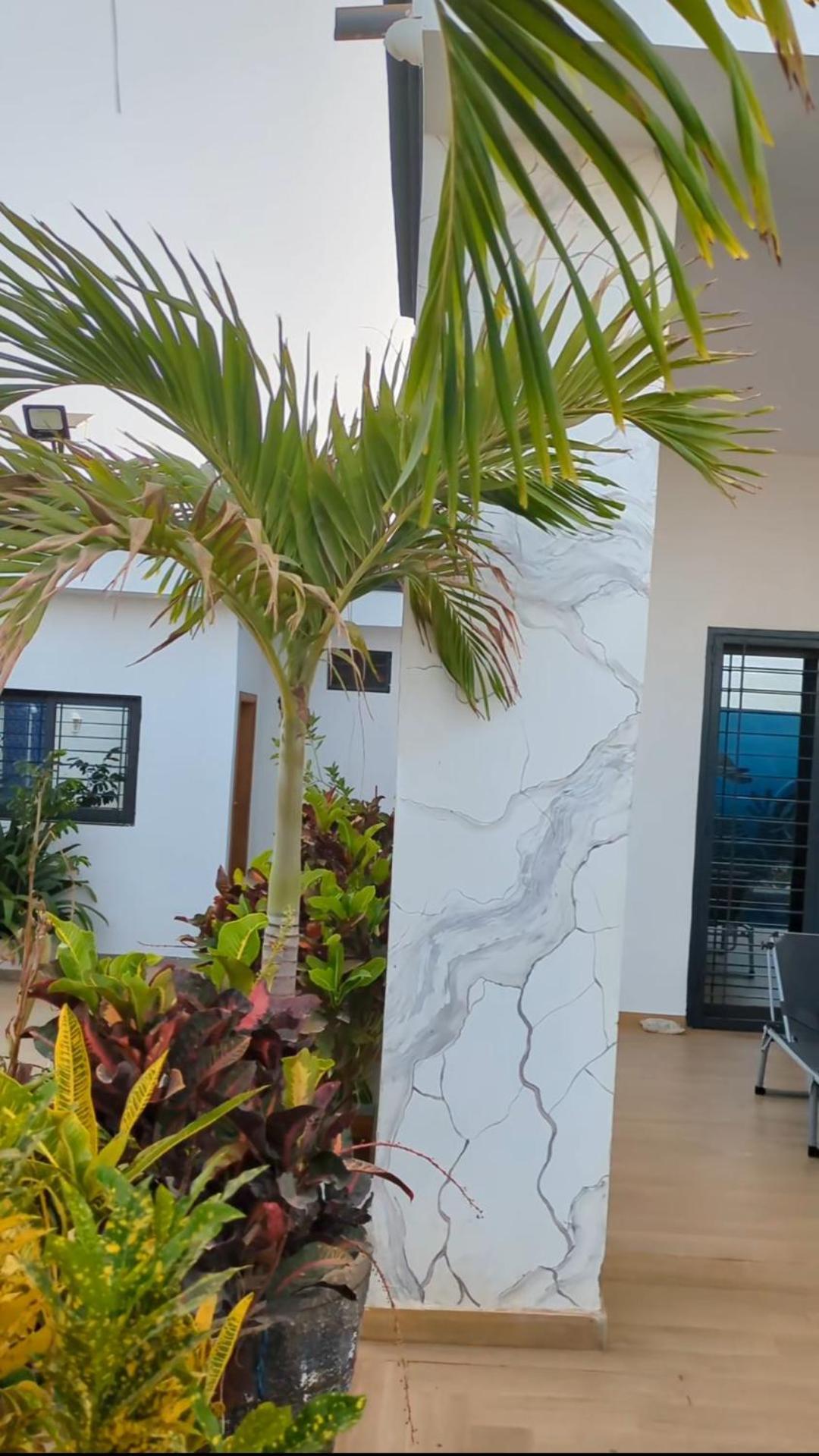 Villa Hawa, Decor Unique & Piscine Somone Exterior photo